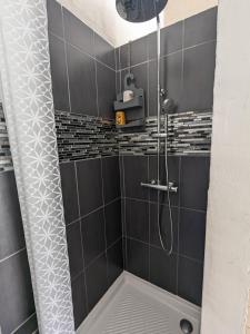 Teresa Beauté - grande maison 4 chambres proche La Rochelle Ile de Ré avec piscine