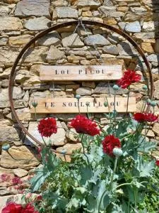 LOU PICOU, Gîte montagne habitat typique, 3 pers - Seix