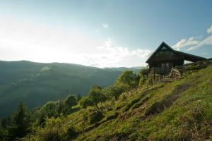 Moarhofer - Romantikhütte