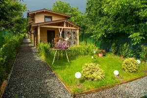 Zenyt Home - Dosu Napului