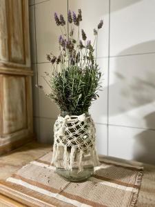 Guest house Jaguaribe