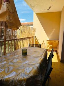 Appartements Joli T2 au coeur de la residence Europa a Canet : Appartement 1 Chambre