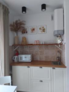 Apartamenty Leśna Oaza