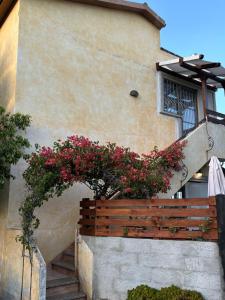 Sardegna Pittulongu img22