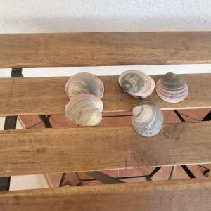 Apartamento junto al mar en el centro de Conil