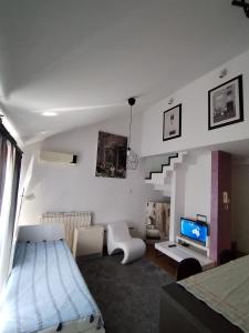 MatIne Belgrade Zvezdara