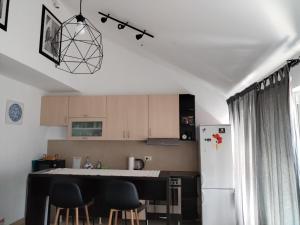 MatIne Belgrade Zvezdara