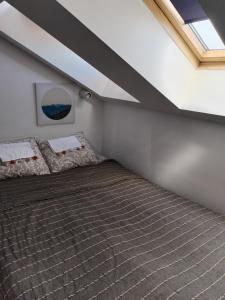 MatIne Belgrade Zvezdara