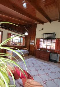 Cabañas Bosque Del Faldeo