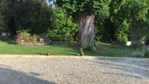 Chambres dhôtes de la baie