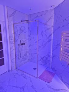 Maisons de vacances Maison Chic avec jacuzzi Nogent sur Oise YaoSpa60 : photos des chambres