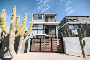 Baja Winds Condo Ocean view