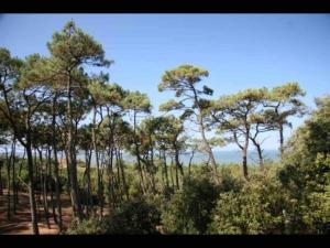 Appartements Rez de jardin, St Brevin les Pins, plage a pieds : photos des chambres