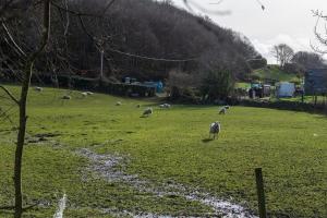 PLAS IWRWG GRANARY - Stunning Barn Conversion based in North Wales