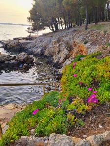 Apartmani Arta 3