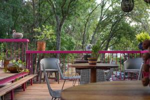 Casa Nawuales - Terraza - Guadalajara céntrico