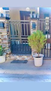 Marcus Tiny Home in Cabanatuan