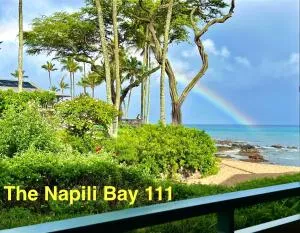 The Napili Bay 111 - Ocean View Studio - Steps from Napili Beach - Lahaina