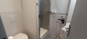 Actarus-SILS - T1 28 M2