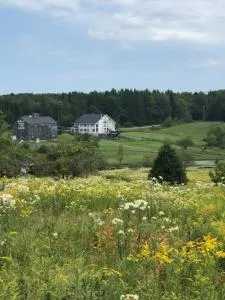 Fireball's Lodge - Pulaski