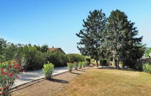 Maisons de vacances Villa Les Sapins : photos des chambres