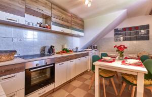 Beautiful Home In Budrovac With Wi-Fi