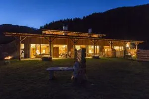 Chalet Wiesenglück - 瓦莱迪卡谢斯