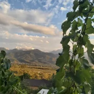 Non Solo Pizza - Shenggeldi