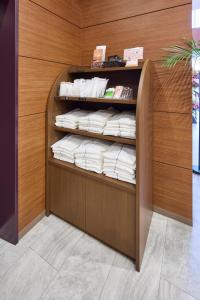 Sunnemu Hotel in Honjo