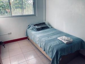 The poolhouse at McKirdys mango farm