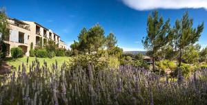 Appartements Les Maisons de Pont Royal en Provence - maeva Home - Maison climatisee pour 8 Personnes avec jardin privatif et terrasse MAE-2283 : photos des chambres