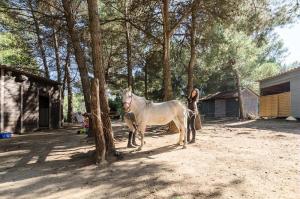 Appartements Les Maisons de Pont Royal en Provence - maeva Home - Maison 3 pieces 6 personnes climatise - Selection MAE-6421 : photos des chambres
