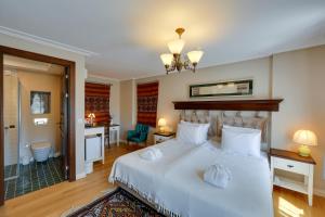 Deluxe Double or Twin Room room in Akanthus Hotel Ephesus