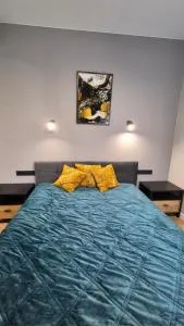 Sweet Home Grabieniec Apartment - 罗兹地区亚历山德鲁夫