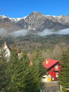 Wine Cellar Villa with Beautiful Garden in Sinaia - Busteni