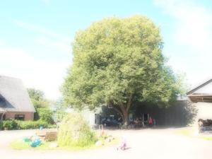 Gartenhaus