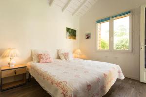 Studio indépendant dans un jardin - Hossegor