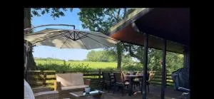 11 Tan-y-coed Woodland Lodge - Towyn