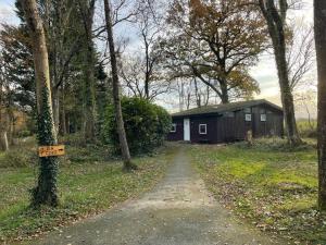 11 Tan-y-coed Woodland Lodge