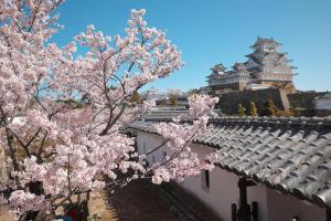 WholeHouse Himeji ホールハウス 姫路