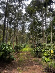 Lara Homestay