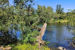 Campings Camping La Chapouliere : photos des chambres