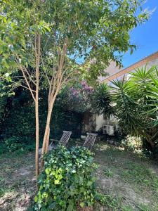 Hotels Hotel Majestic : Appartement 2 Chambres - Vue sur Jardin