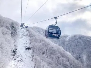 山のホテル大瀧 - Nanagamaki