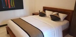 Ari Guest House - 希德门