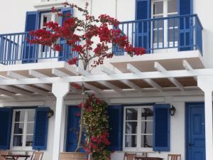 Galini Bungalows Tinos Greece