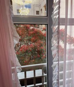 Central Apartment in Madinaty