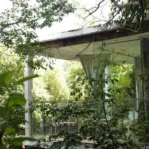 Nkofu Forest Cottage - Kitende - Sisa