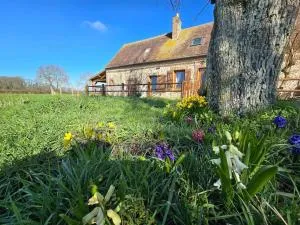 Gîte reposant à la campagne - Bourth
