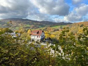 Traumhafter Blick mit Wohnung - Reichelsheim